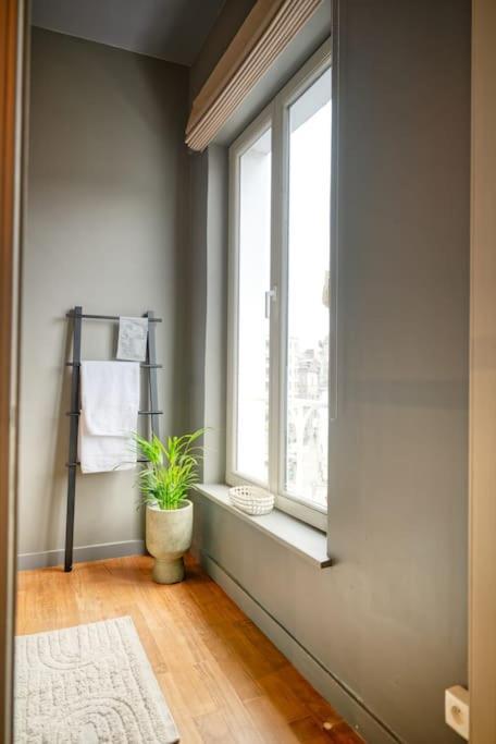 Spacious & Luminous Gem In Historic Building Apartment Gent